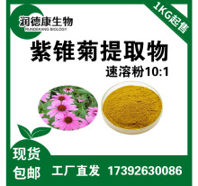 工厂现货紫锥菊提取物10:1全水溶紫锥菊多酚菊苣酸植物提取物包邮