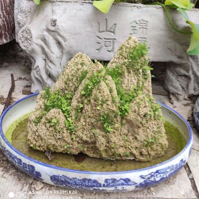 Factory wholesale Absorbent stone Sheung Shui Stone rough  Large landscape stones bonsai Rockery Wood flowerpot