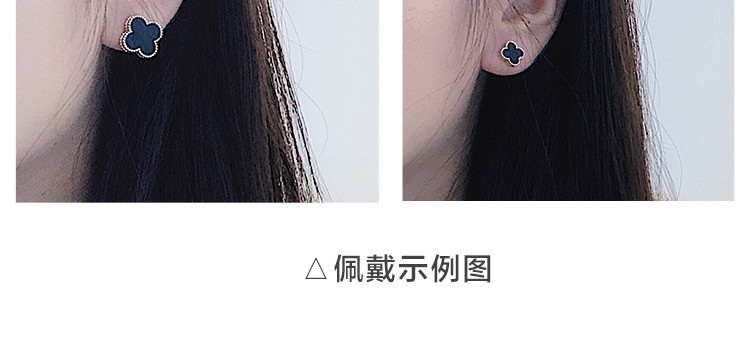 2b680c535b12d9b2a1a8407a49ae3c