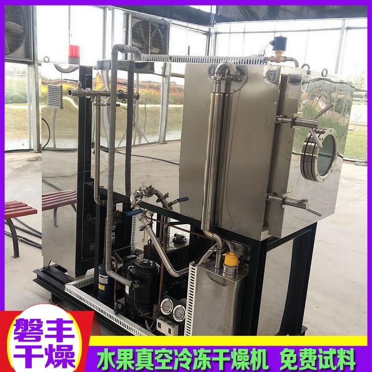 食品加工低温冻干机 花粉冷冻设备 鳖粉冻干机 磐丰直销
