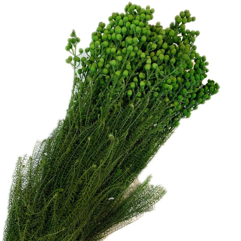 微信图片_20200323224649