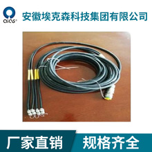 典型分支電纜線束及電纜網