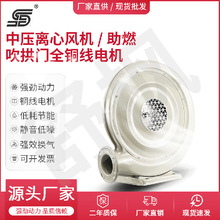 ЉFȼ 220V 380V ģTNߠtLC550W SֱN