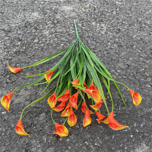 728^ٻ 컨kĻ@ˇֲϻ