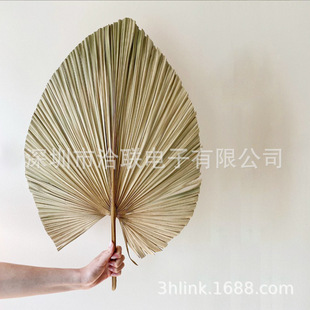 ��Y����Ȕ�ؙ��~�ɫ�ɻ������ԭɫ�Gɫ��ɫ�����ӻ�c�����b�