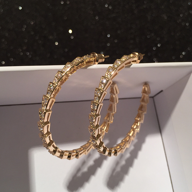 Snake-shaped Hoop Earrings Micro-inlay New S925 Silver Needle Hoop Earrings Wholesale Nihaojewelry display picture 5