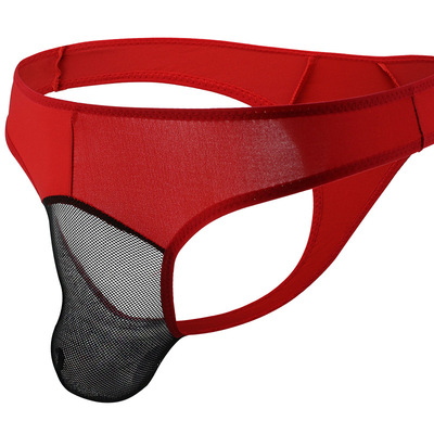 Large Foreign trade Exit OEM OEM man Underwear wholesale Men's ultrathin nylon man T-back Mesh