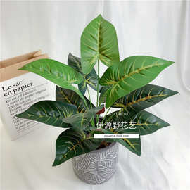 厂家直销12头马蹄莲仿真植物插花植物墙厥叶绿植盆景植物把束插花