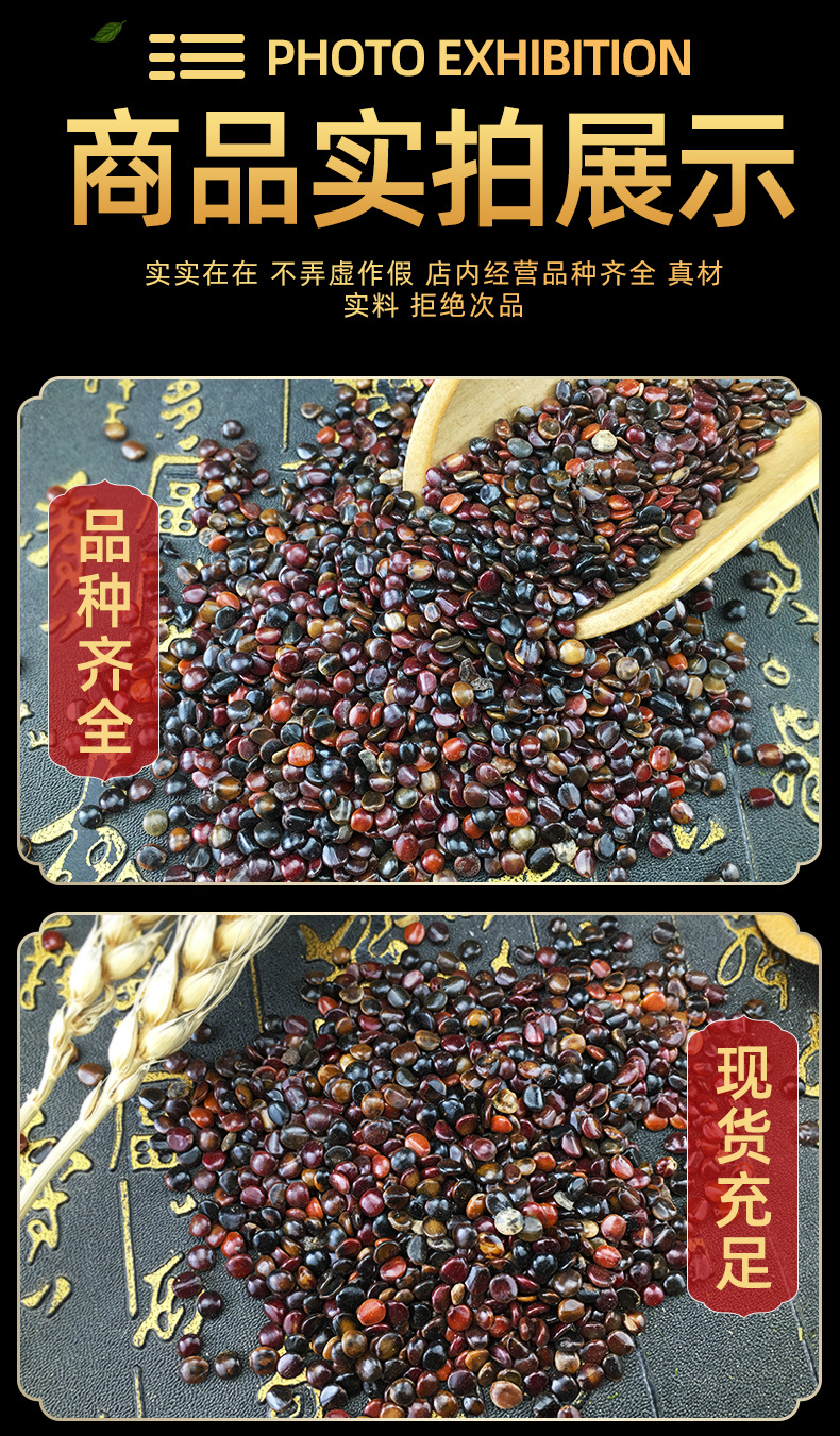 Zhi Ju Zi Dried Hovenia Dulcis Seeds Bulk Herbal Tea Ingredients 500g in use