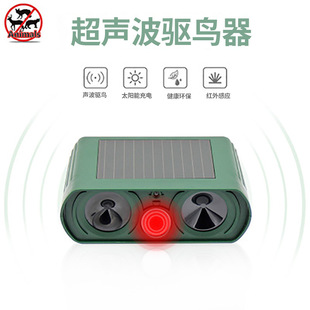 �羳��̟��N���⻨�@̫��܄�����s�� �t��Б��؈򌹷��B��