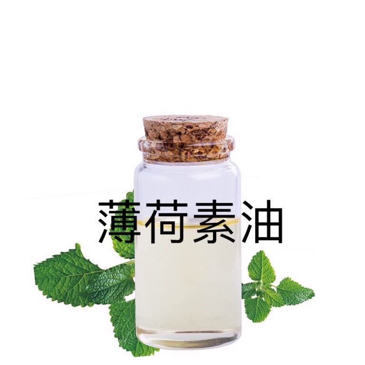 薄荷素油500g