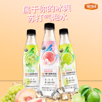 380ml*24 Sugar free 03 flavor Soda Bubble Carbonated drinks Full container wholesale Manufactor Supplying