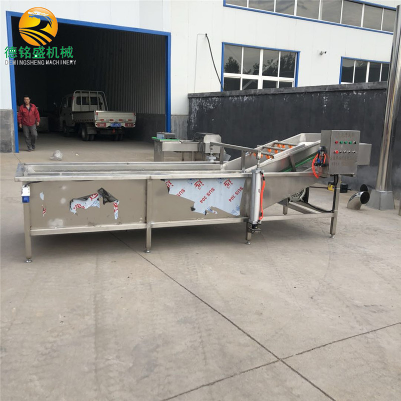 德铭盛厂家生产南瓜籽清洗机 枸杞气泡清洗设备 果蔬气浪式清洗机