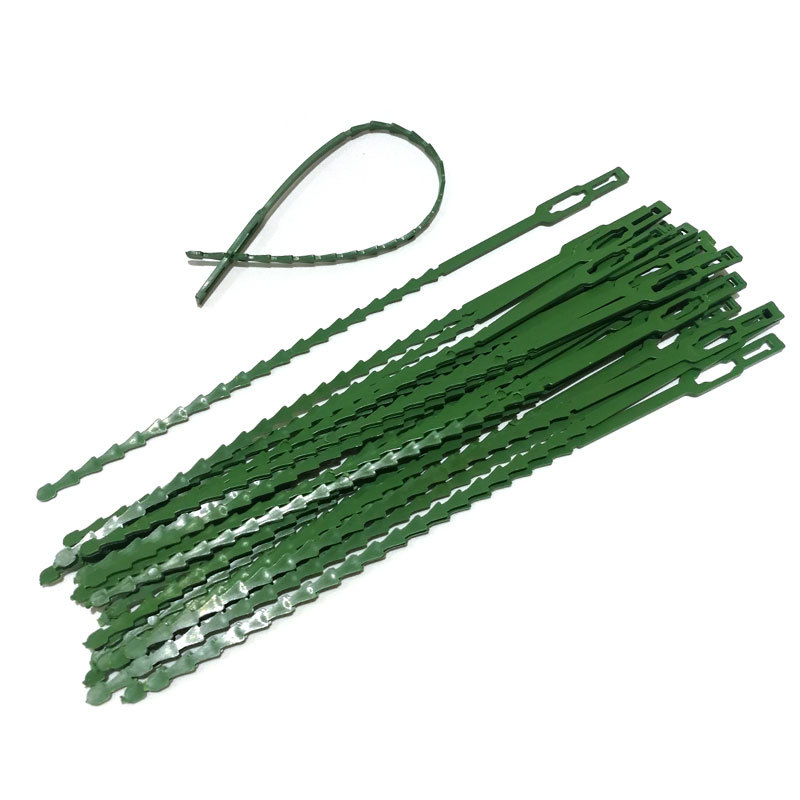 30根23cm多用途绿色绑树藤蔓塑料固定园艺扎带绑带 园林鱼骨绑线