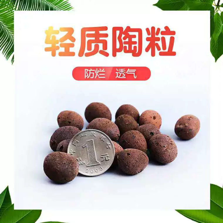 Керамзит против гнилых корней дышащие цветы мясистый керамзит для цветочного горшка Нижняя тротуарная поверхность гидропонная засыпка цветы