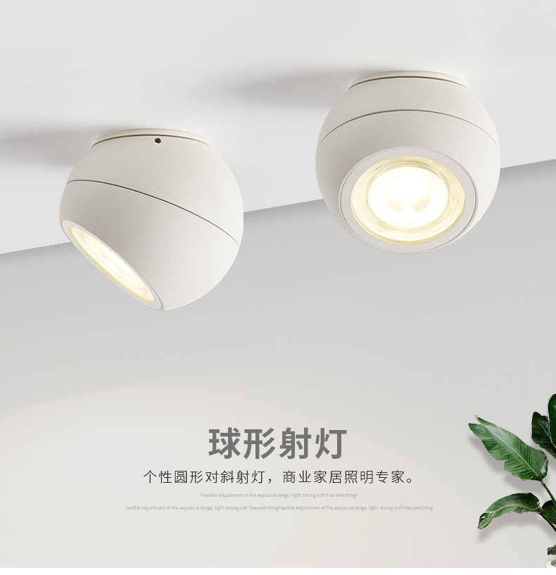 苹果球形明装轨道射灯201