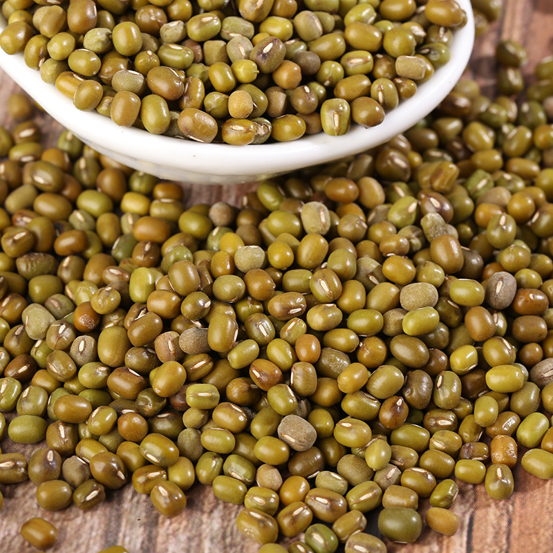 Roasted Mung Beans Lu Dou 绿豆 Vigna radiata Low Temperature Baked Bulk Grain for Soy Milk and Powder in use