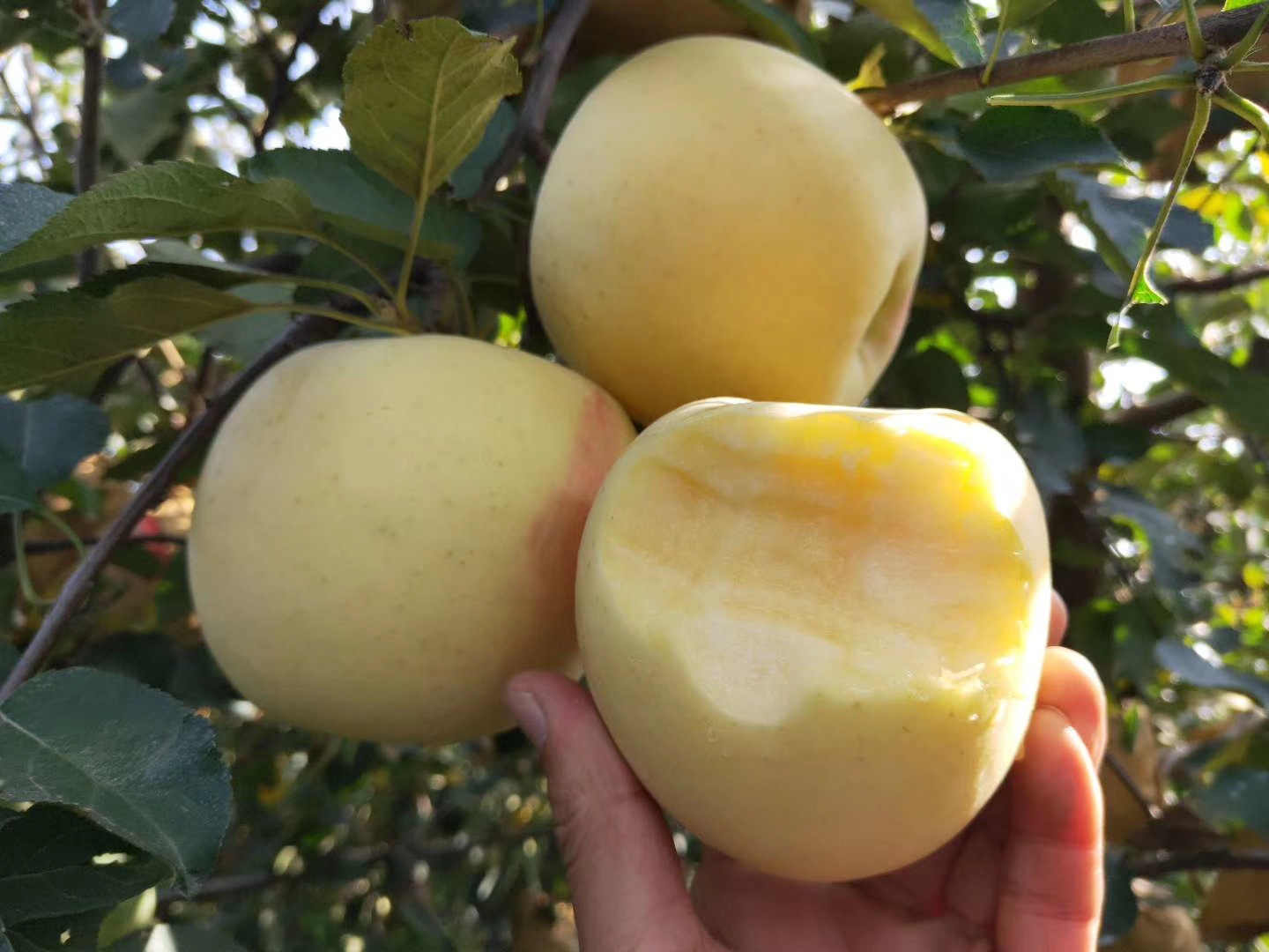 e79ec2fc8dc7d2e5a496d9f95cbd07