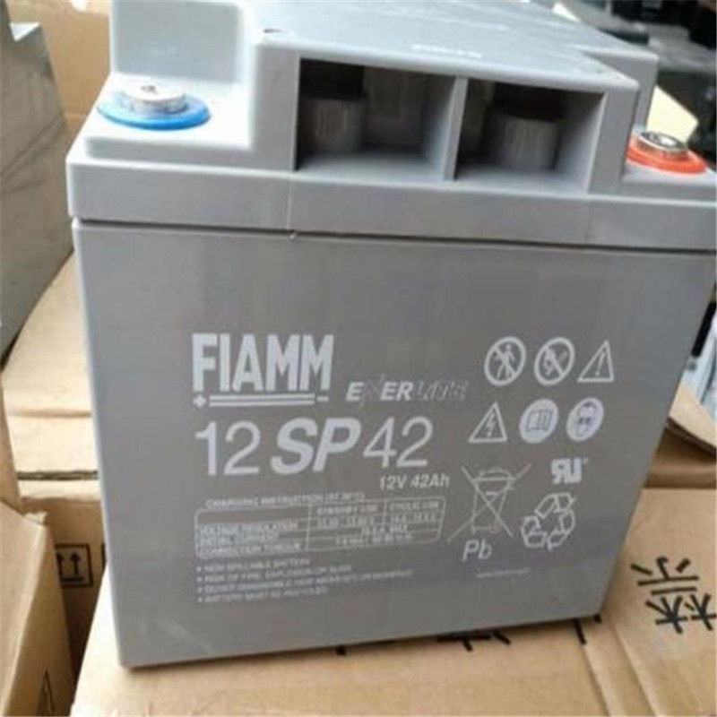 意大利非凡铅酸蓄电池12FLB300/12V-75AH应急照明含税运 12FLB300