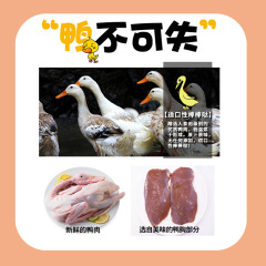 Direct Manufacturer Wholesale Pet Snacks 100g No Additives Hand-Torn Duck Breast 200g Dog Chewing Rewards Jerky