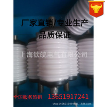 ����_�P����՜绡�����ƿ�߉���չ�ZKTJ-160/12 ZKTJ-250/12
