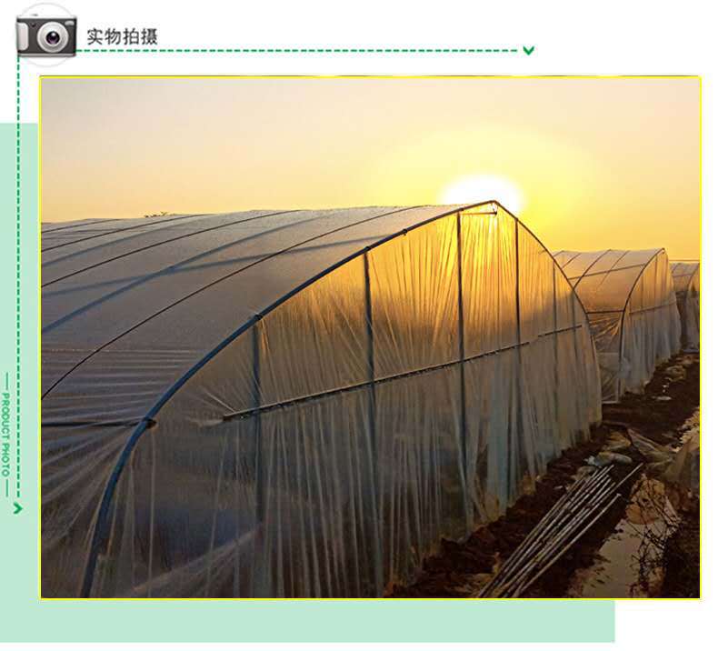 b5427eb0b667dddf40866450d00f81