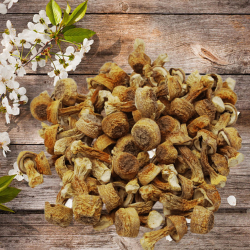 Souvenirs, hand-selected short-handled caps, dried Agaricus blazei mushrooms, high-quality edible fungi, Brazilian mushrooms, off-site stalls