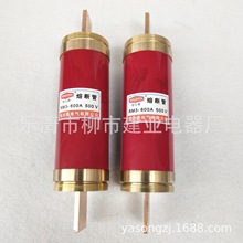 HRT0ʯ��բ���չ�ͭ��RM3-100A 200A 300A 400A 500A 600A����˿