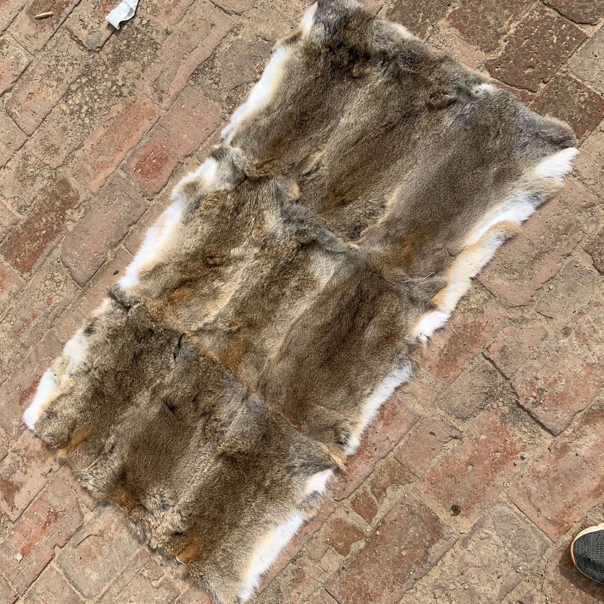 lADPGoU8cthpyEDNC9DNC9A_3024_3