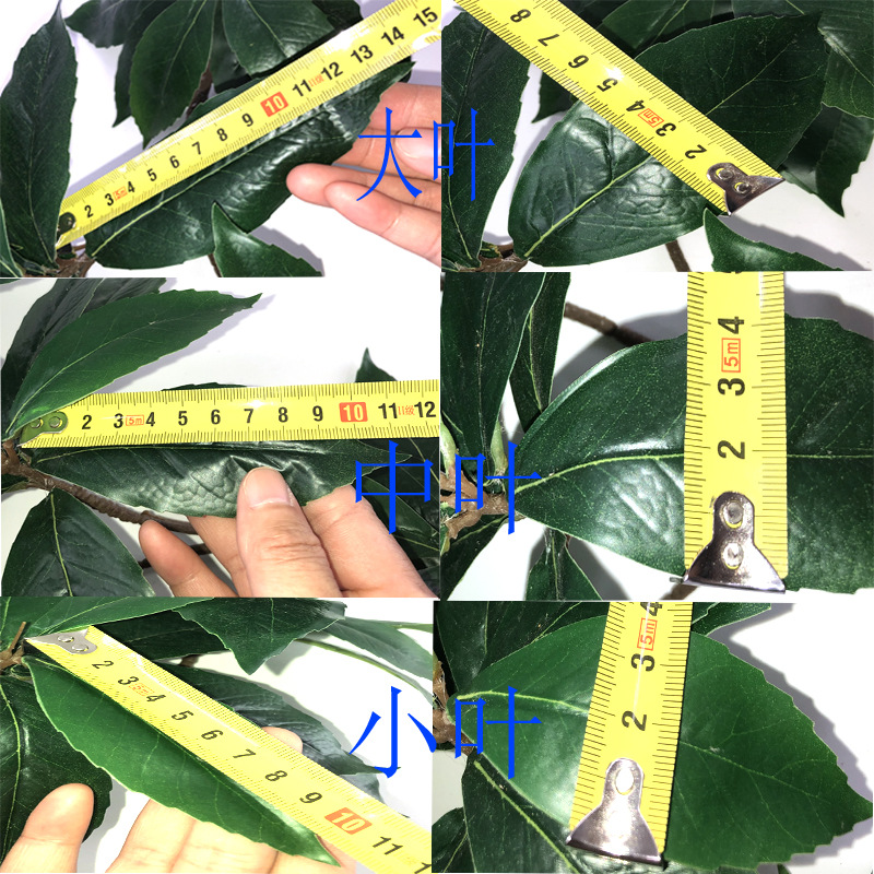 XRB-234 新木荷叶四叉枝0.45米4.jpg