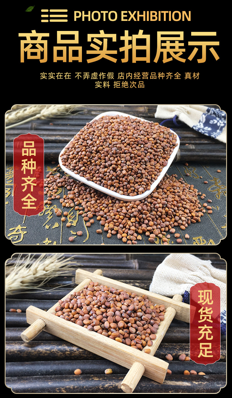 Dried Raphanus Seed Lai Fu Zi Radish Seeds Bulk 500g Traditional Herbal Ingredient in use