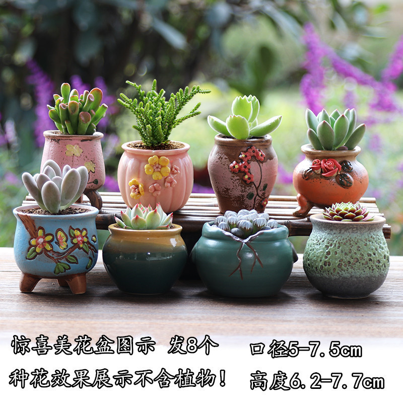 惊喜美花盆图示 发8个