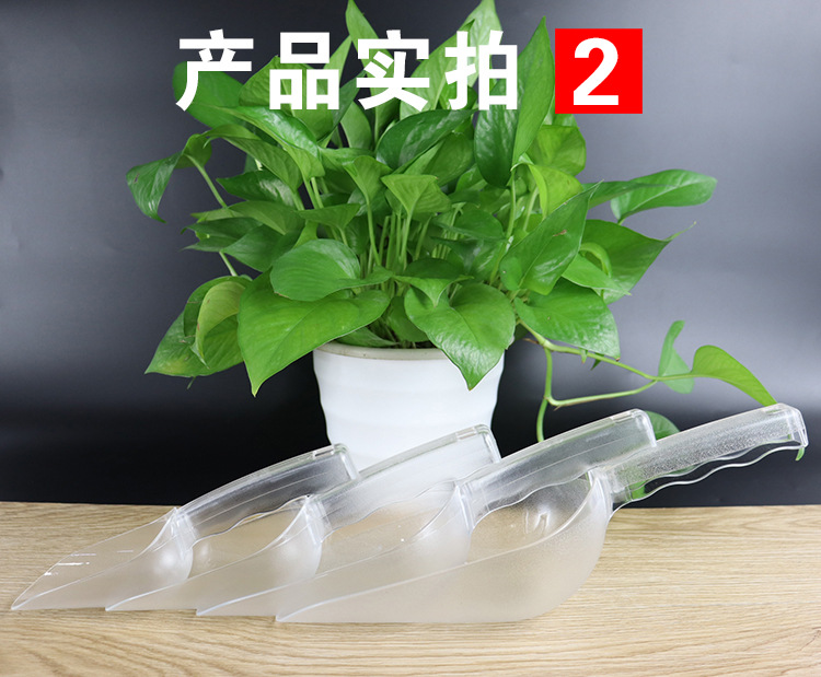 详情5