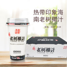 批发热带印象海南老树椰汁古法压榨椰奶植物蛋白饮料380ml*20杯