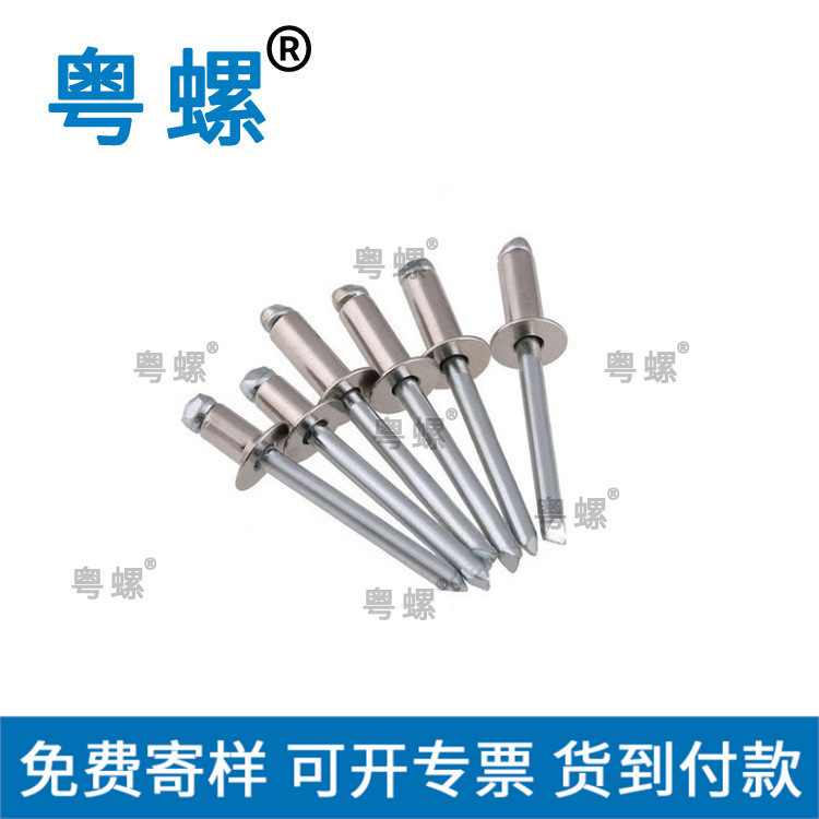 GB12618 不锈钢抽芯铆钉扁圆头沉头抽芯铆钉封闭抽芯铆钉 拉铆钉