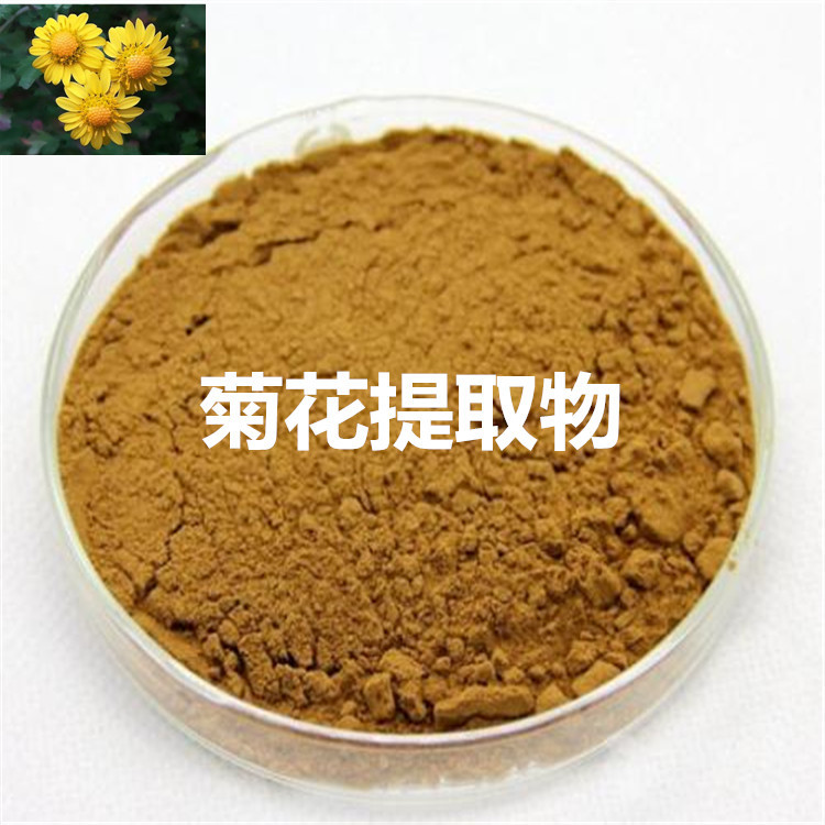 野菊花提取物10:1 20:1现货包邮 菊花提取物 批发零售 菊花萃取粉