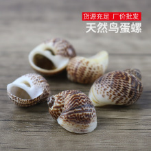 ���l�B������Ȼ����Сؐ���~���쾰�[��diy�ֹ����ϼľ�з��Q��