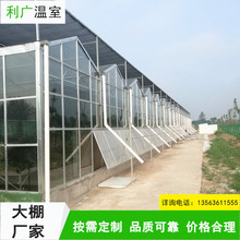 蔬菜育苗連棟溫室供應農業種植大棚番茄黃瓜高架栽培溫室大棚
