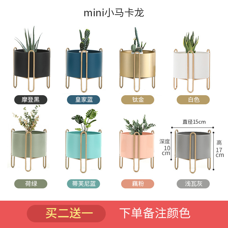 MINI 조랑말 카드 2 라운드 3