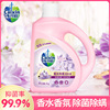 【特价】4斤大桶香水除菌洗衣液长久留香2kg薰衣草洗衣液厂家直供|ms