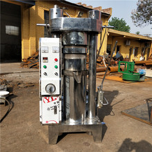供應270全自動核桃橄欖液壓榨油機 小型流動油坊芝麻液壓香油機器