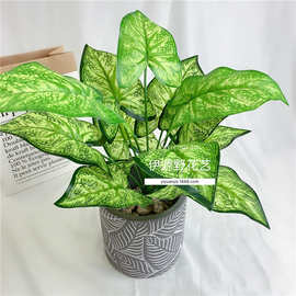 厂家直销12头马蹄莲仿真植物插花植物墙蕨叶绿植盆景植物把束插花