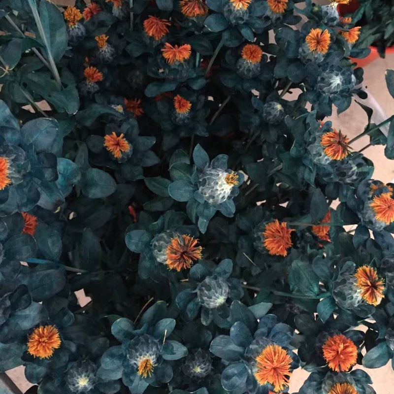 微信图片_20200209012957