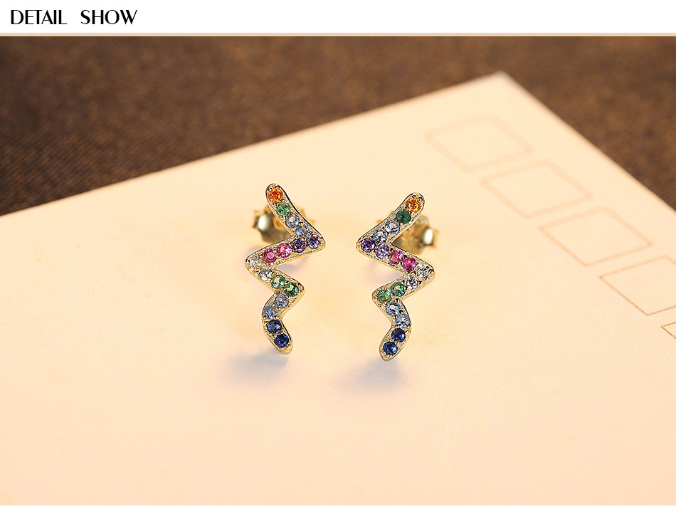 S925 Sterling Silver Creative Micro-inlaid Zircon Earrings display picture 2