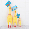 Small screaming chicken, toy, factory direct supply, pet, anti-stress