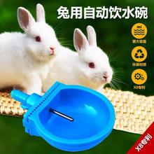 兔用自动饮水碗喂水器兔用喝水碗饮水器兔子饮水盒养殖兔用产品