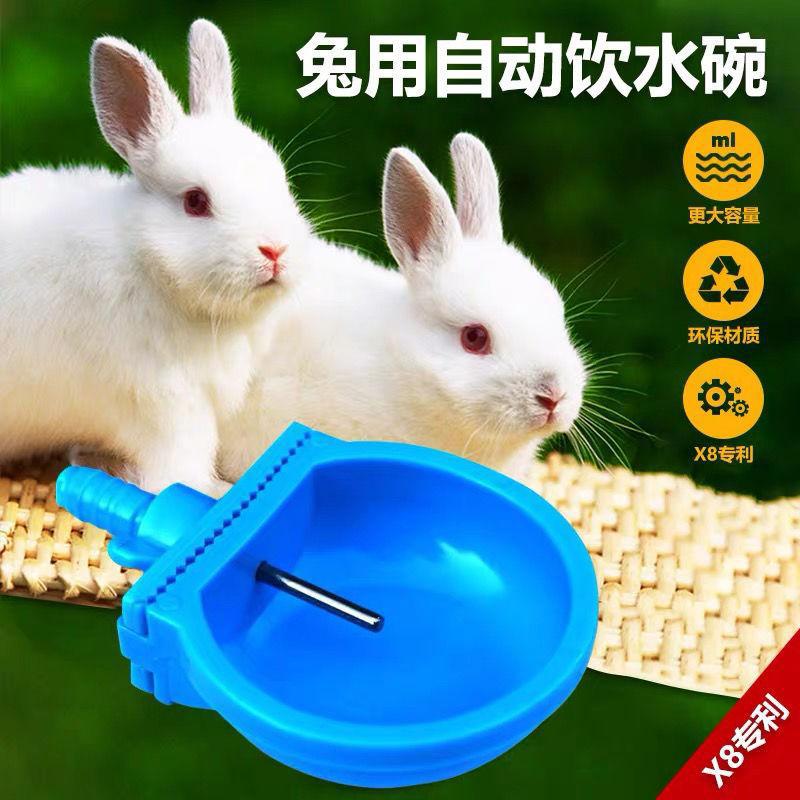 兔用自动饮水碗喂水器兔用喝水碗饮水器兔子饮水盒养殖兔用产品