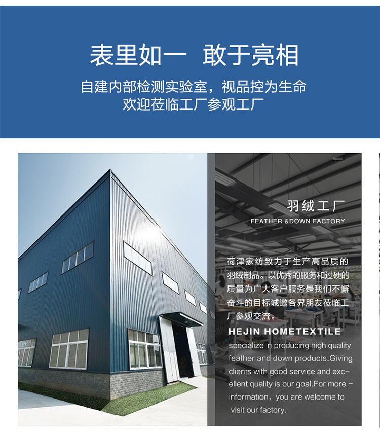 C255详情 (17) - 副本