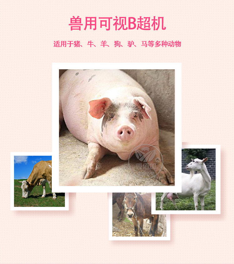 B超机B详情页 (2).jpg