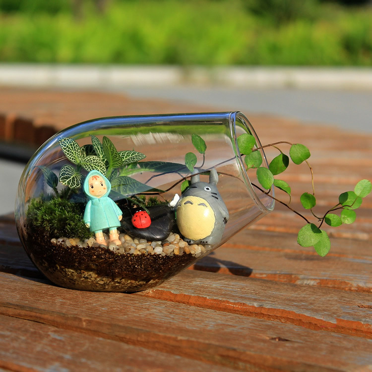 Micro paisaje ecológico botella creativa botella de musgo paisajismo botella de vidrio suculento florero